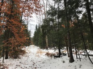 W Lily Lake Rd, Bleecker, NY 12078