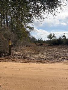 0 Harmon Williams Rd, Mobile, AL, 36608