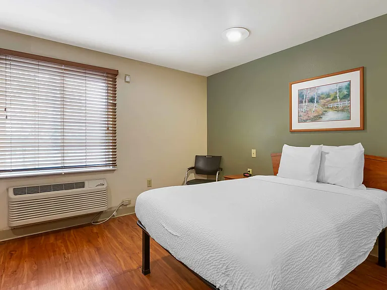 Studio Suite - 1 Queen Bed
