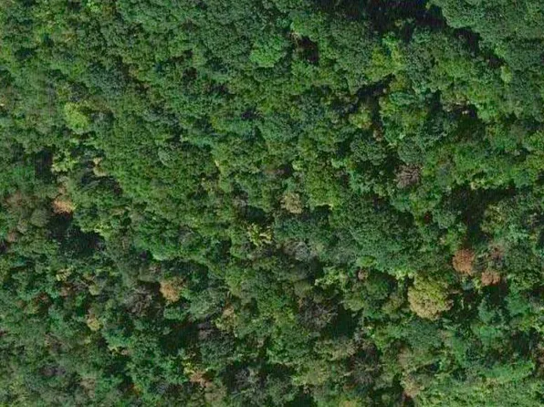 0 East Rd, Sheffield, MA 01257