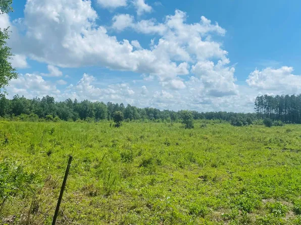 2 NE Beulah Church Rd, Lee, FL 32059