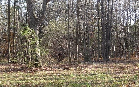 5th image of 319 County Road 47