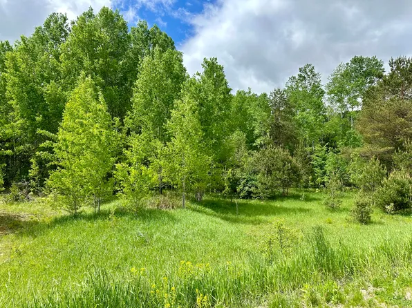 LOT 63&64 Golfview Ln, Gaylord, MI 49735