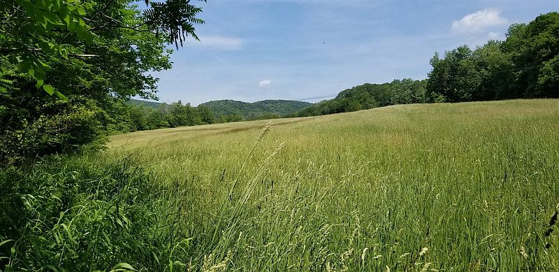 3rd image of 0000 BLY HOLLOW Road