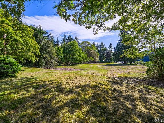 Looking North towards Janicki Cove Looking North towards Janicki Cove  -  