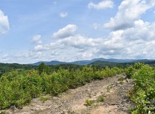 0 Chinaberry Ln #1, Hendersonville, NC 28792