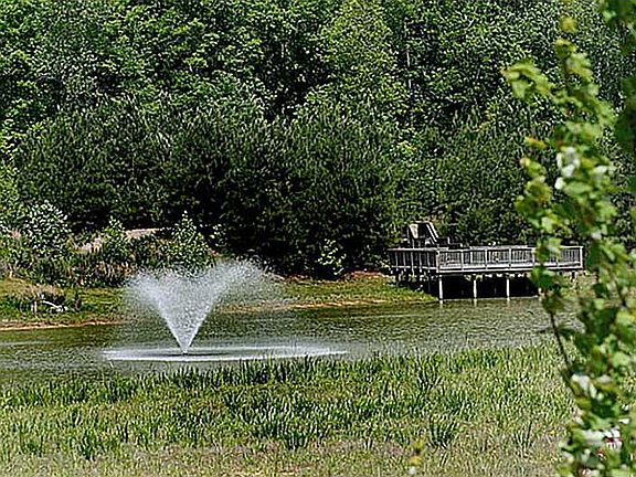 5th image of 105 Marks Pond Way