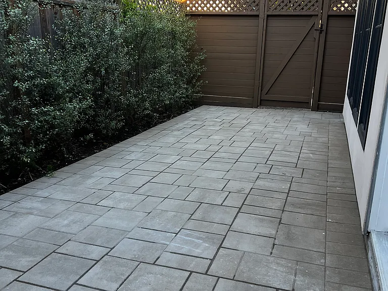 Palm Ave — Photo 18
