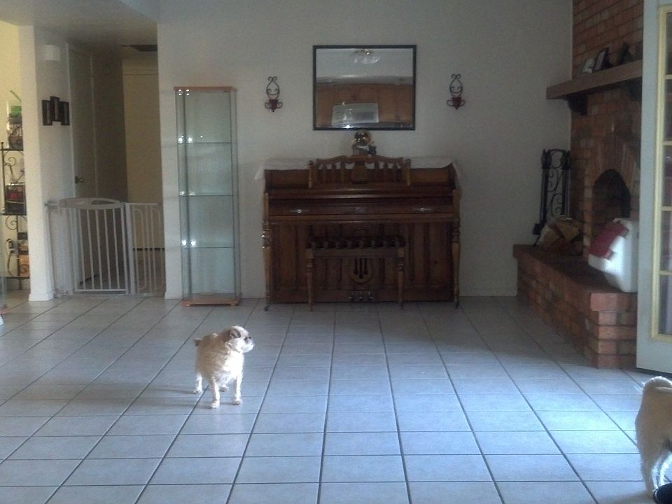 ROOMMATE/HOMESHARE Fireplace