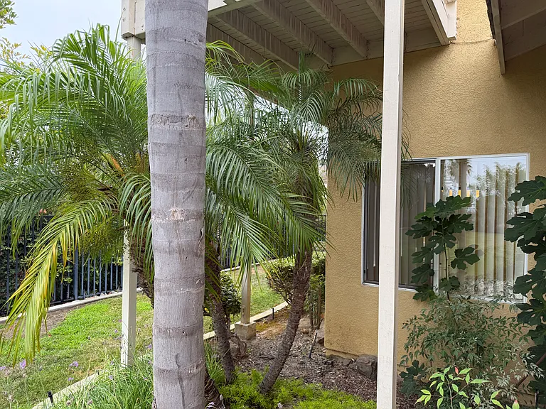 6833 Urubu St — Photo 58
