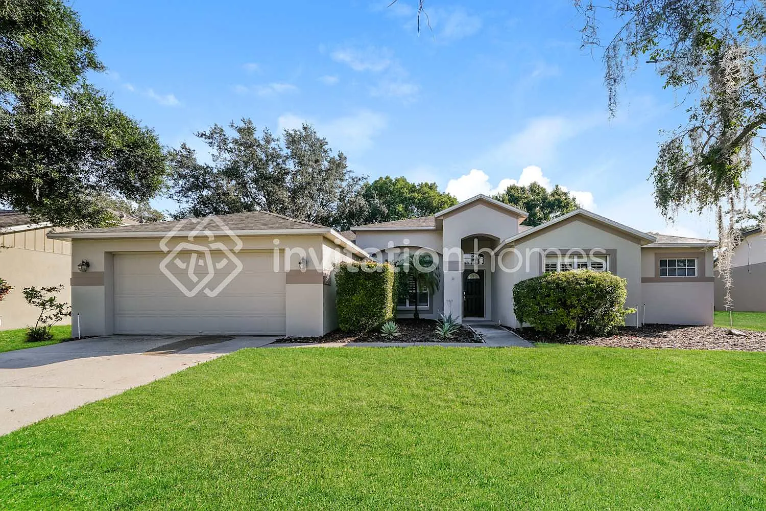 19707 Wyndcliff Dr Odessa, FL 33556 — Photo 1
