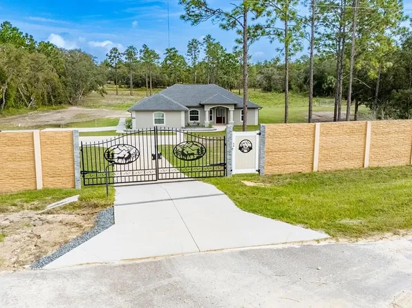 12091 SE 66th Pl, Morriston, FL 32668