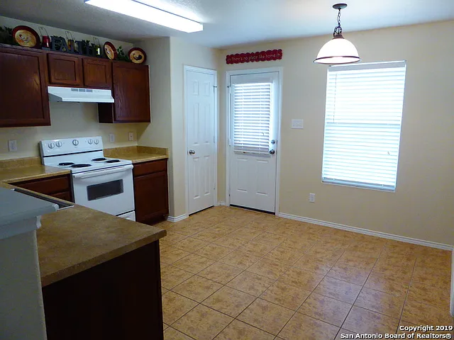 3918 Texas Hawthorn — Photo 6