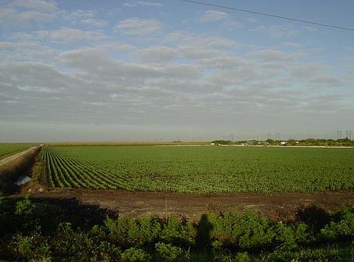 1st image of 3501 S Us Highway 27
