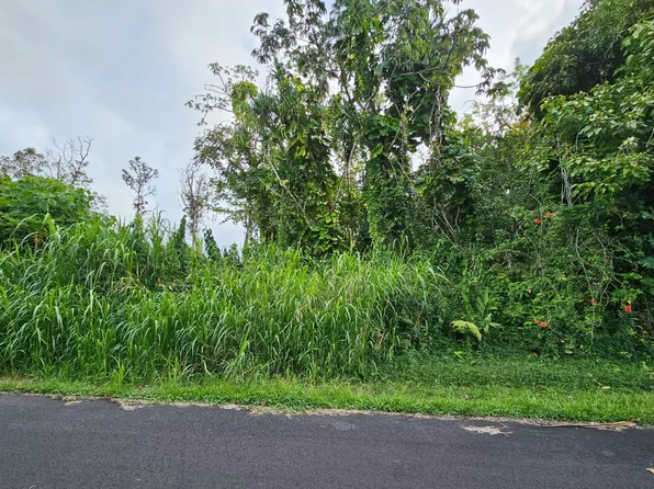 Ono St Lot 20, Pahoa, HI 96778