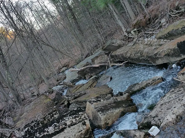 Water fall area back of property