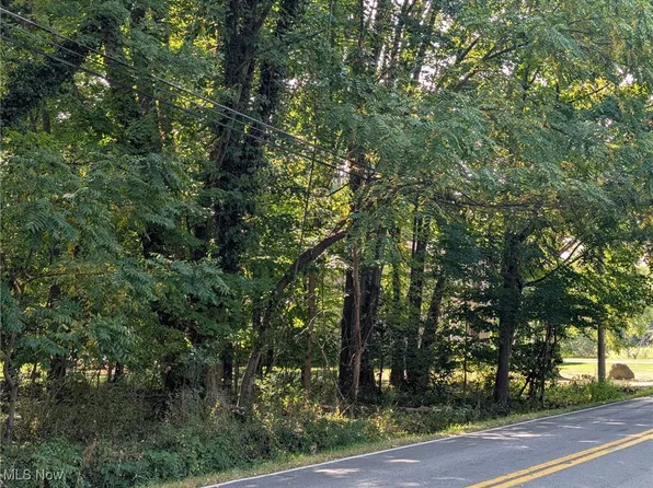 Schocalog Rd, Akron, OH 44320