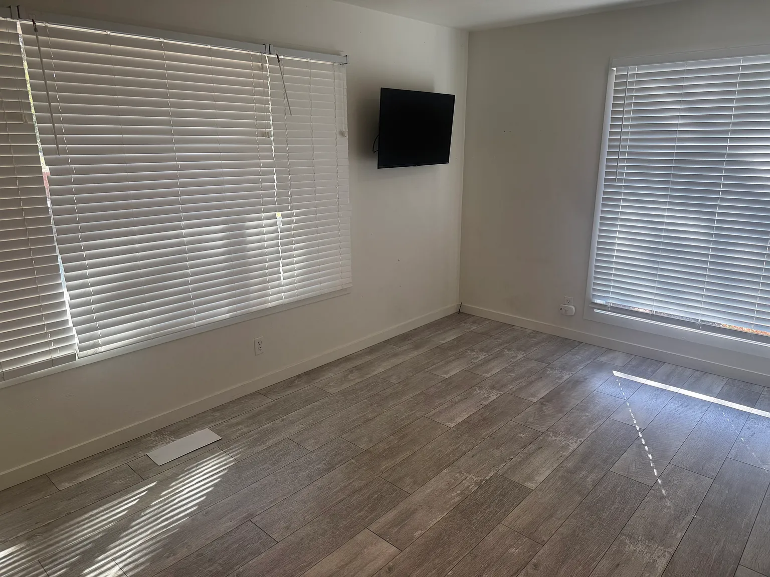 Studio, $1,600 — Photo 4