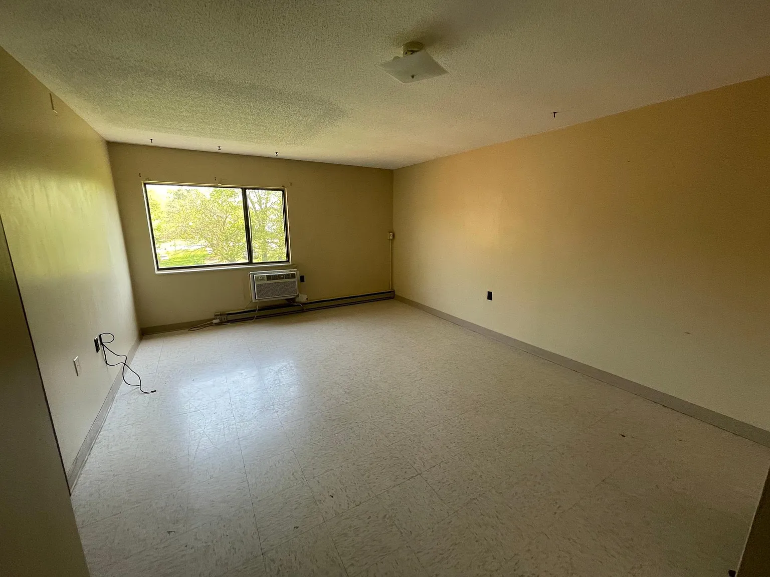1 bed, 500 sqft, $100 — Photo 3