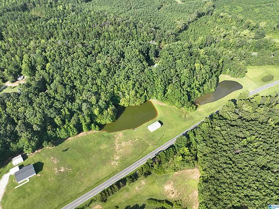 5th image of 521ACRE S County Road 61