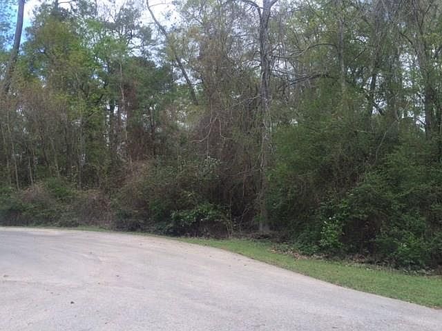 2nd image of Holly Dr