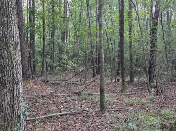 County Road 155, Stringer, MS 39481