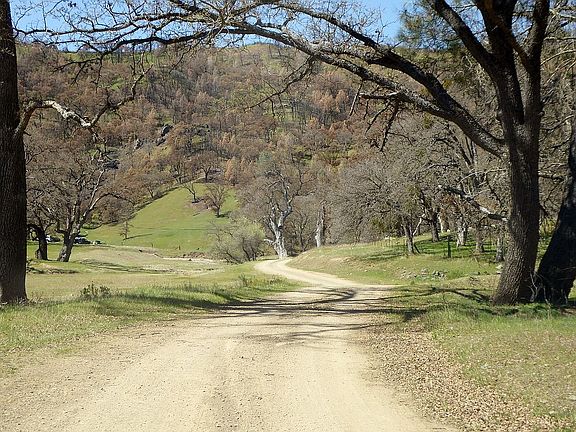 4th image of 36010 San Antonio Valley Rd