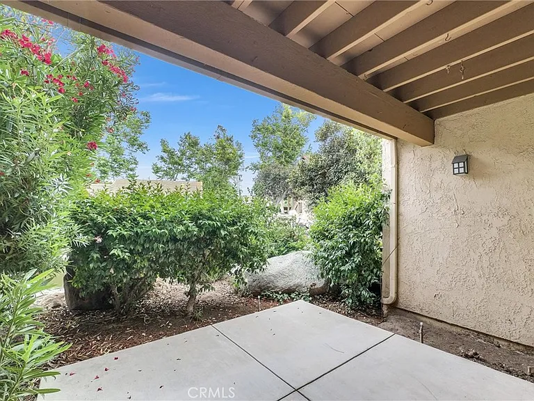 326 Tangelo #323 — Photo 23