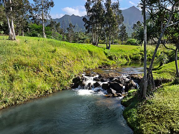 4th image of 2818 Kamookoa Rd #3