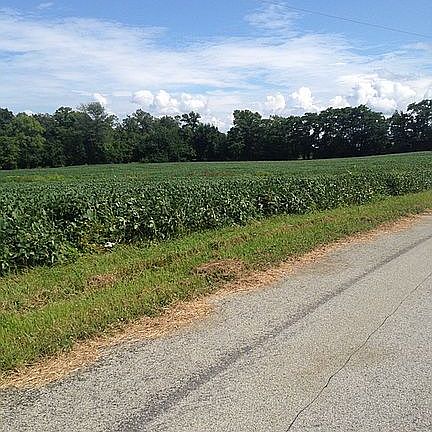 Take me home country roads!