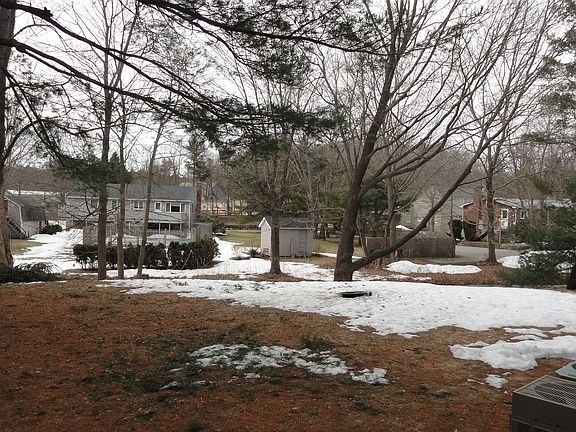 Rear Yard