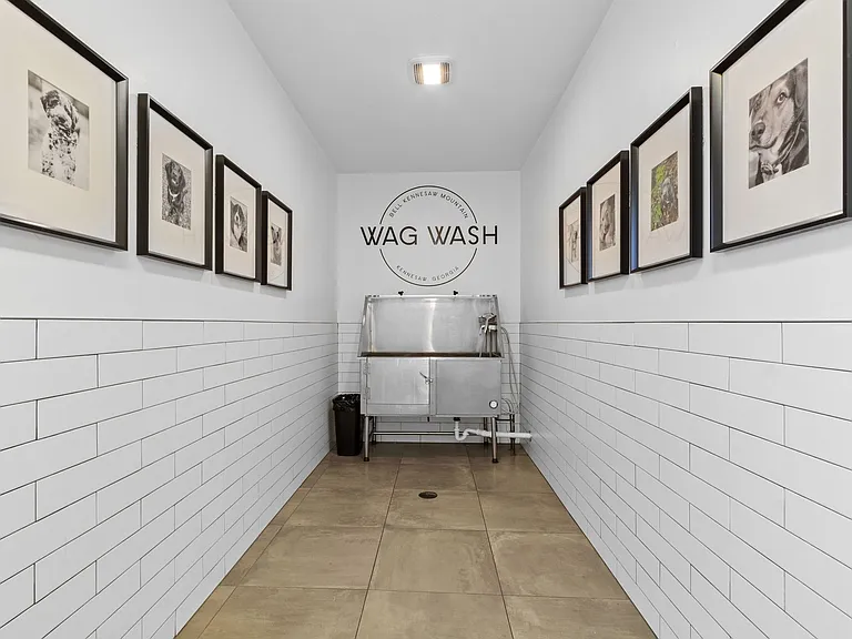 On-site wag wash to keep your pup fresh and happy