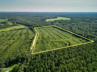 W Side Lake Victor Rd, Westville, FL 32464