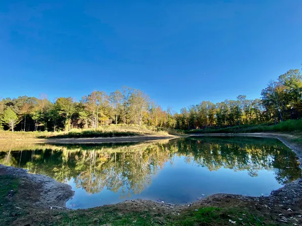 33.32 Acres Green Dr, Somerville, TN 38068