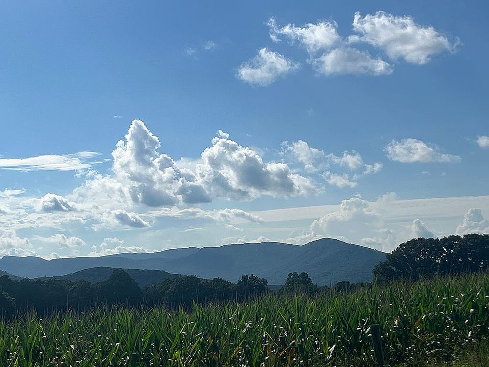 With a few trees removed