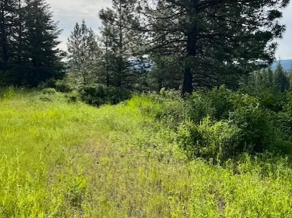 L11 B #1, Harrison, ID 83833