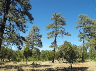 5825 Tamarron Dr, Happy Jack, AZ 86024