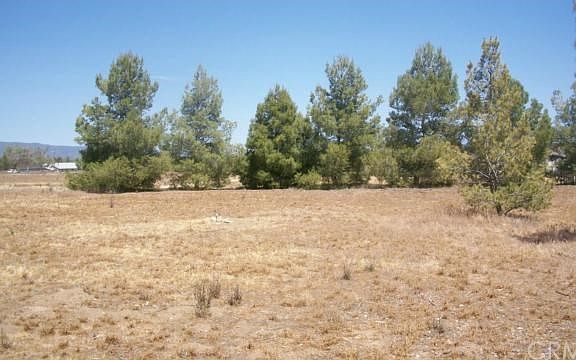 4th image of 40515 Tumbleweed Trl
