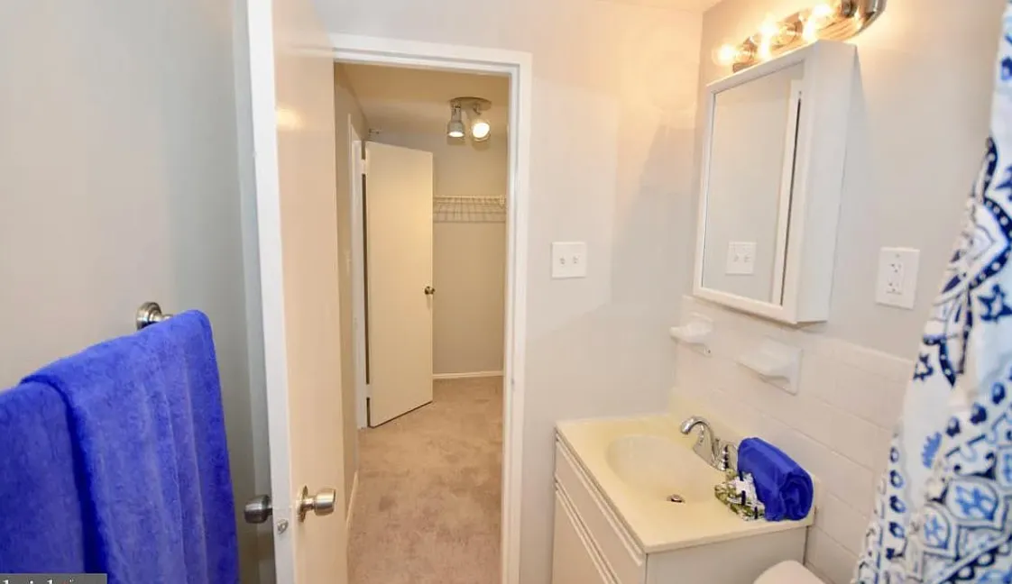 Studio, 384 sqft, $1,589 — Photo 4