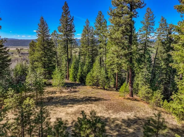 LOT 9 Canyon Creek Way, New Meadows, ID 83654