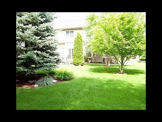 1137 Shetland Dr photo 1