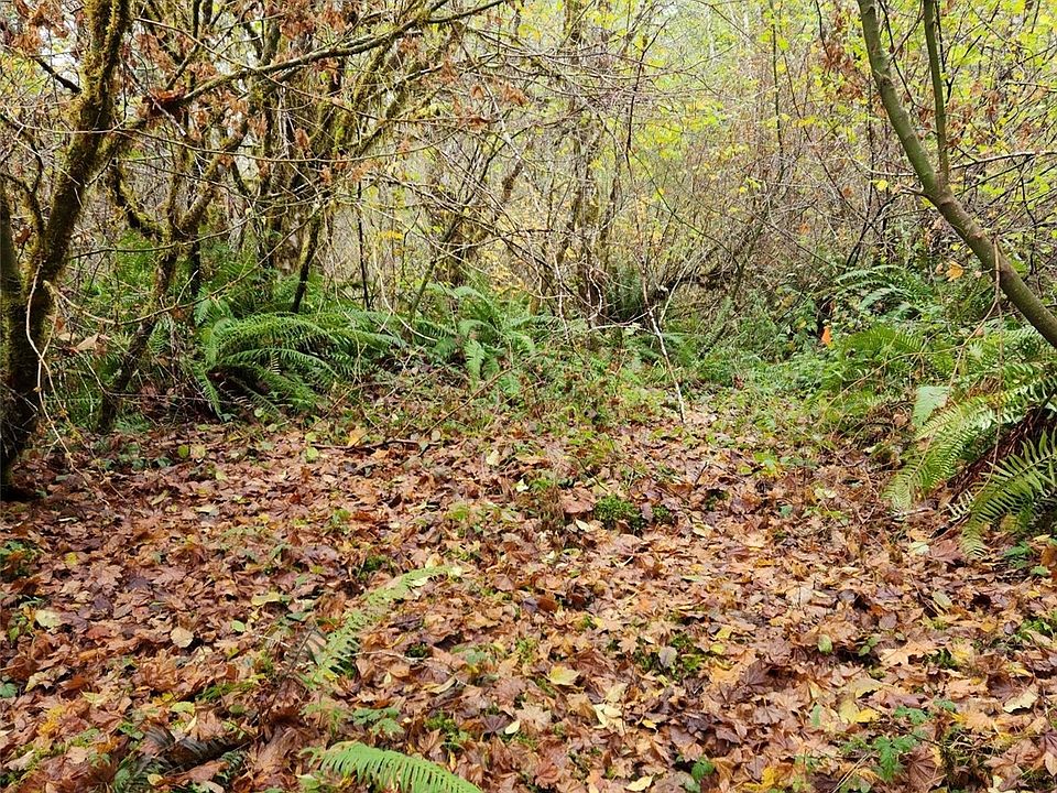 2nd image of 2 Acres W Cloquallum Road