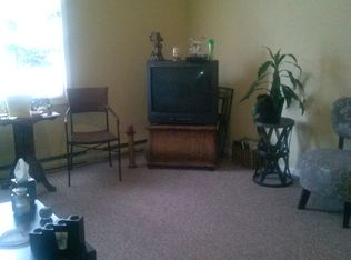 38 Smith Bridge Rd APT 3, Saratoga Springs, NY 12866