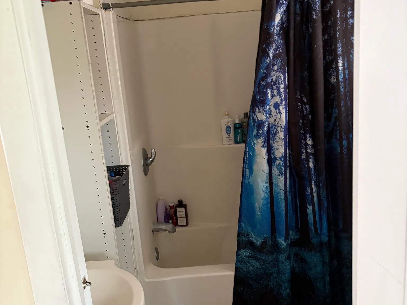 6 bed, 2296 sqft, $6,000 — Photo 3