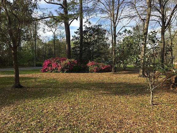 Horseshoe drive on Geo ONeal