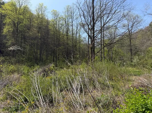291 Sugar Camp Rd, Robinson Creek, KY 41560