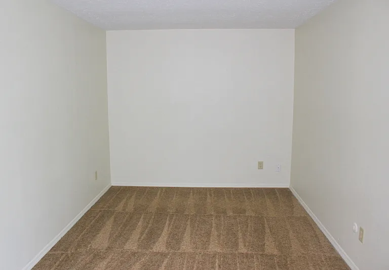 7539 Pomeranian Dr — Photo 5