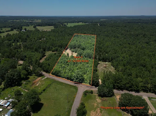 23275 County Road 244 Tract 3, Overton, TX 75684