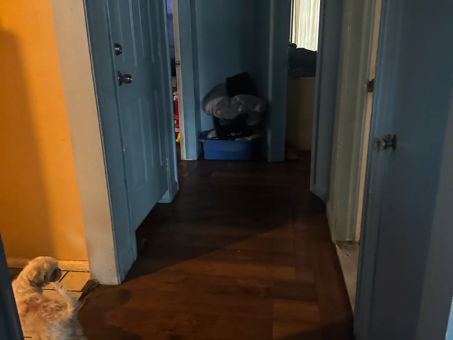 3 bed, 1300 sqft, $1,200 — Photo 2