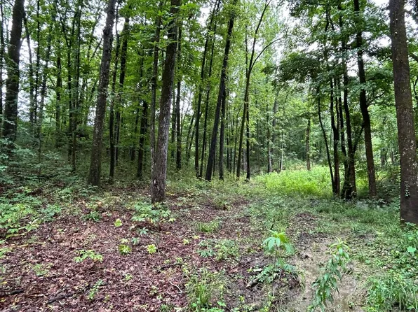 Cambridge Dr, Starkville, MS 39759